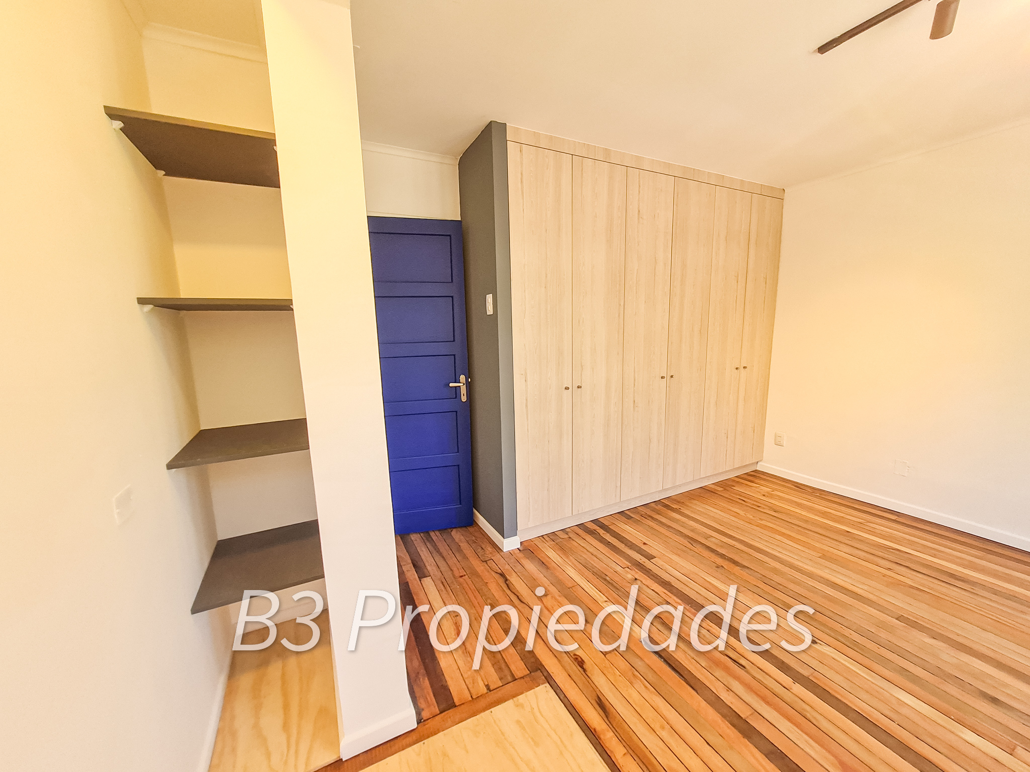 Imagen 8